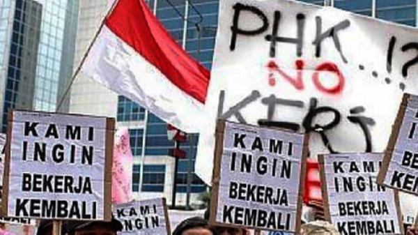 Kenaikan UMK 6,5%: Ancaman PHK Massal?