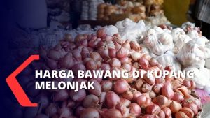 Harga Bawang Melonjak Tajam! Jelang Nataru