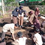 Heboh! Sengketa Lahan SDN Sumedang Ancam Belajar Siswa