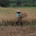 Koperasi Cimahi Hadapi Tantangan Regenerasi!