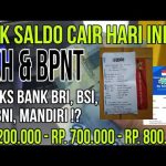 BPNT 2025 Cair! Cek Saldo KKS Sekarang Juga!