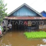 Bencana Cirebon: Ribuan Jiwa Terdampak Banjir Dahsyat!