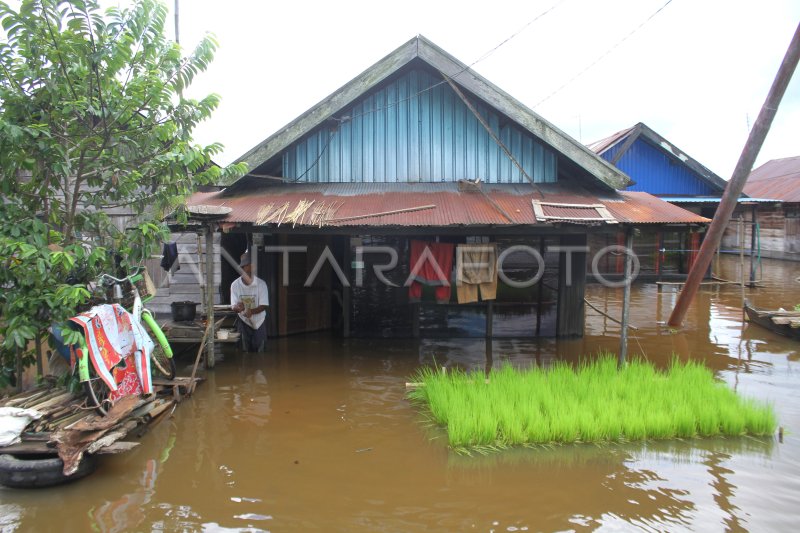 Bencana Cirebon: Ribuan Jiwa Terdampak Banjir Dahsyat!