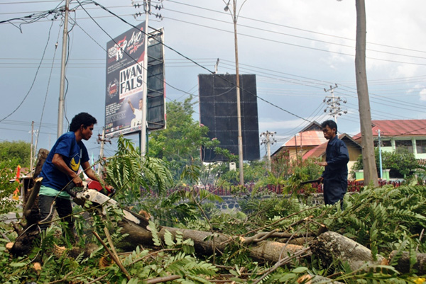 Puncak Hijau Lagi? 50.000 Pohon Ditanam!