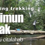 15 Vila Mewah Disegel di Gunung Halimun!