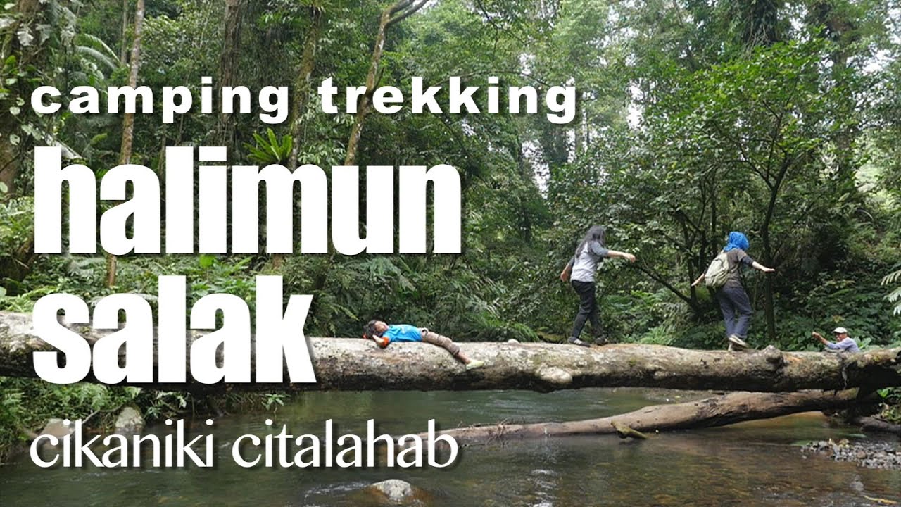 15 Vila Mewah Disegel di Gunung Halimun!