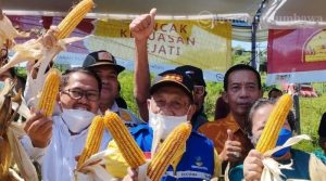 Presiden Panen Raya, Bupati Sumedang Ikut Antusias!