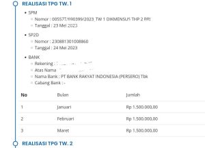 TPG Belum Cair? Tenang, Ini Solusinya!