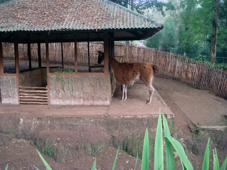 Liburan Lebaran Berubah Sengsara? Pungli di Bonbin Bandung Bikin Geram!