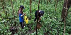 Kentongan:  Mitigasi Bencana Ala Bandung!