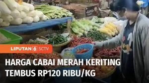 Harga Cabai Tembus Rp140 Ribu!