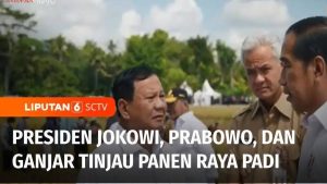 Panen Raya Bareng Prabowo: Rahasia Padi Organik!